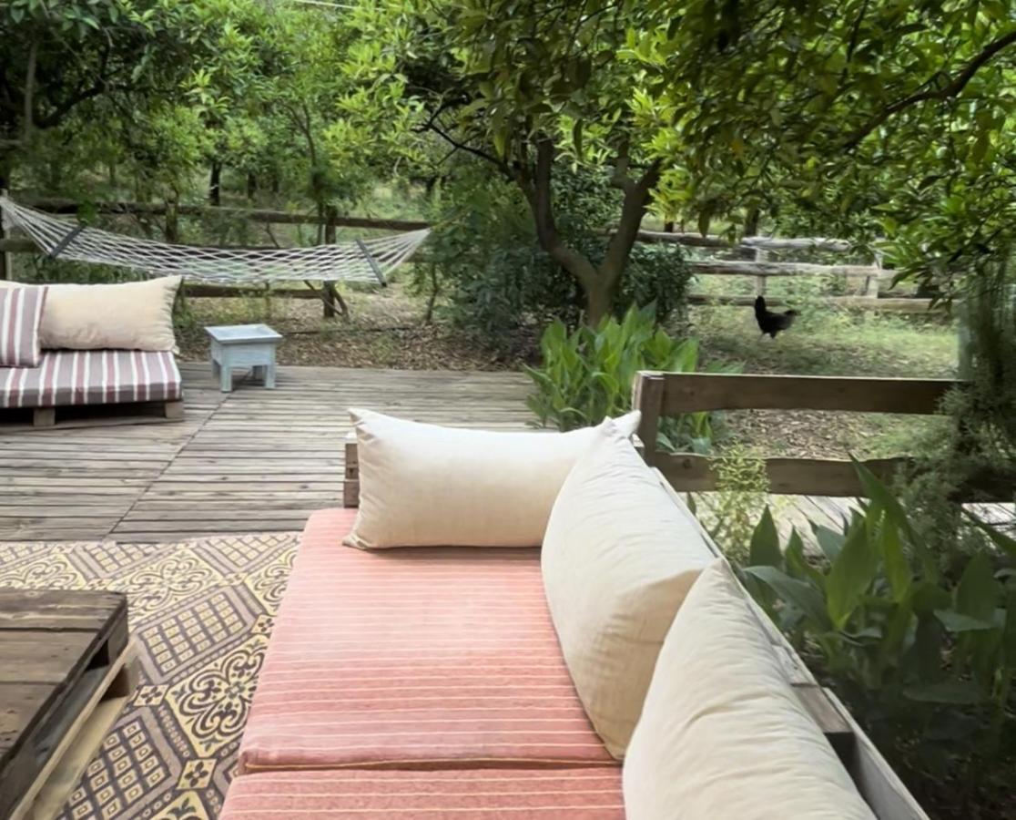 Hotel Campo Portakal Eco Glamping Çıralı Exterior foto