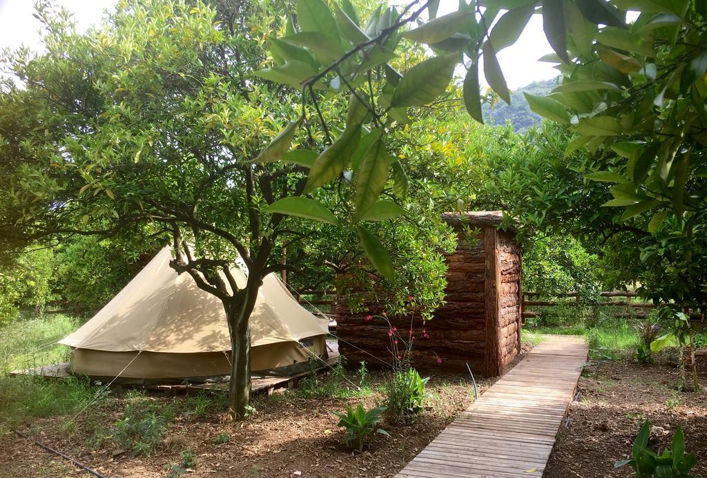Hotel Campo Portakal Eco Glamping Çıralı Exterior foto